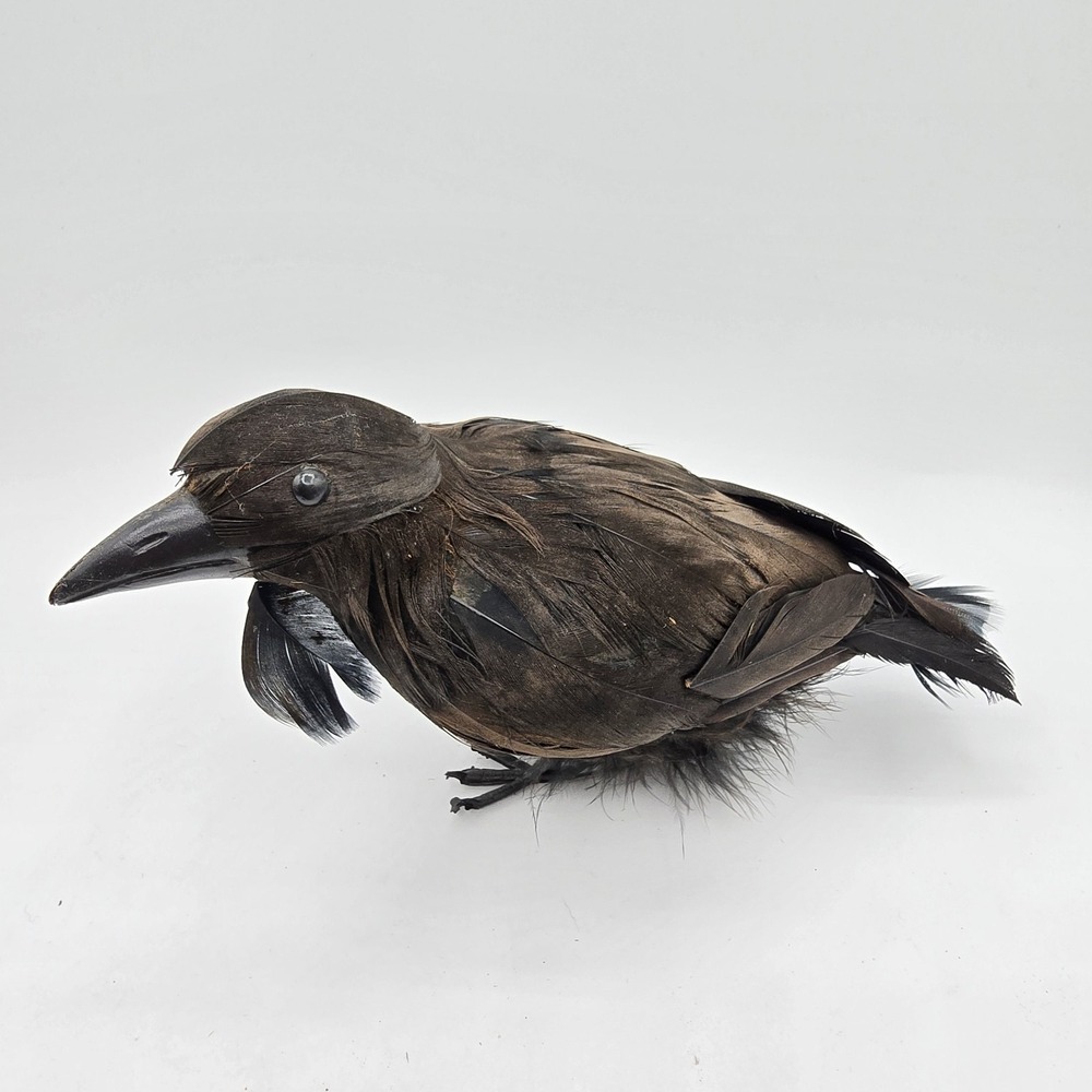 Black Feathered Crow Raven Bird Halloween‎ Decor Prop Artificial Realistic Vtg